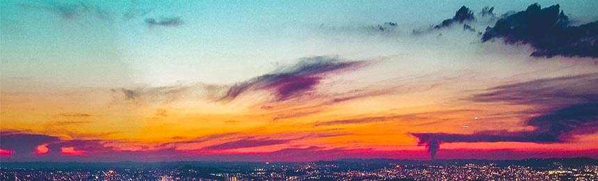 尉氏茶虫网_尉氏品茶